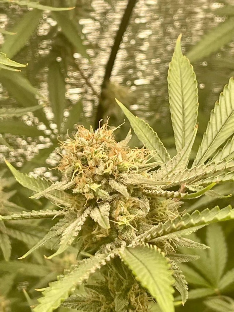 WeChat Image_20220216154158