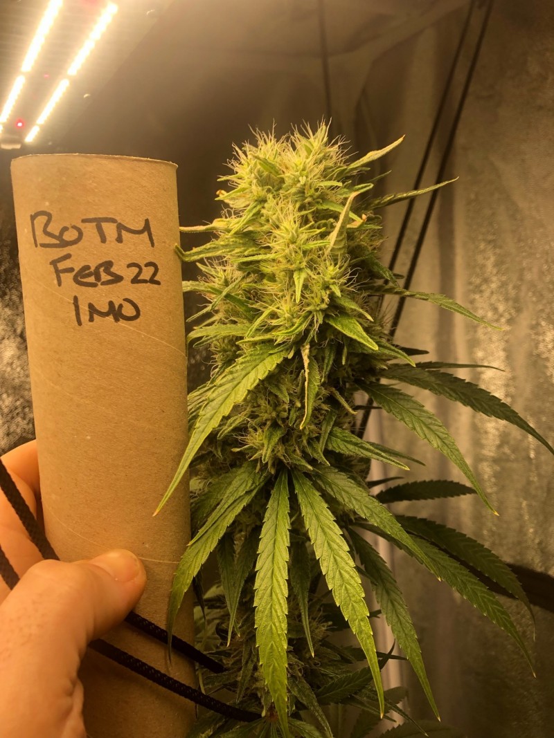 96CB56A8-CF98-4305-909E-0708A675B0A6