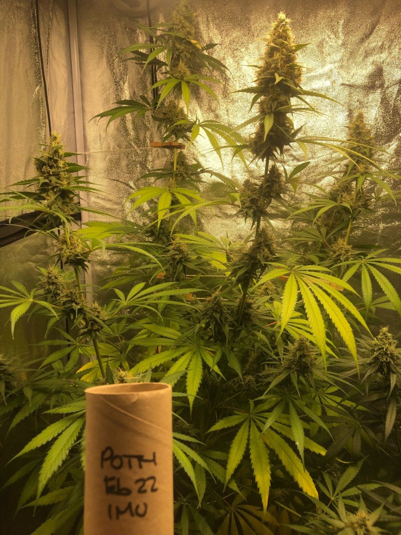 AA46E0E2-6337-4613-BBD9-9715CF59A82A