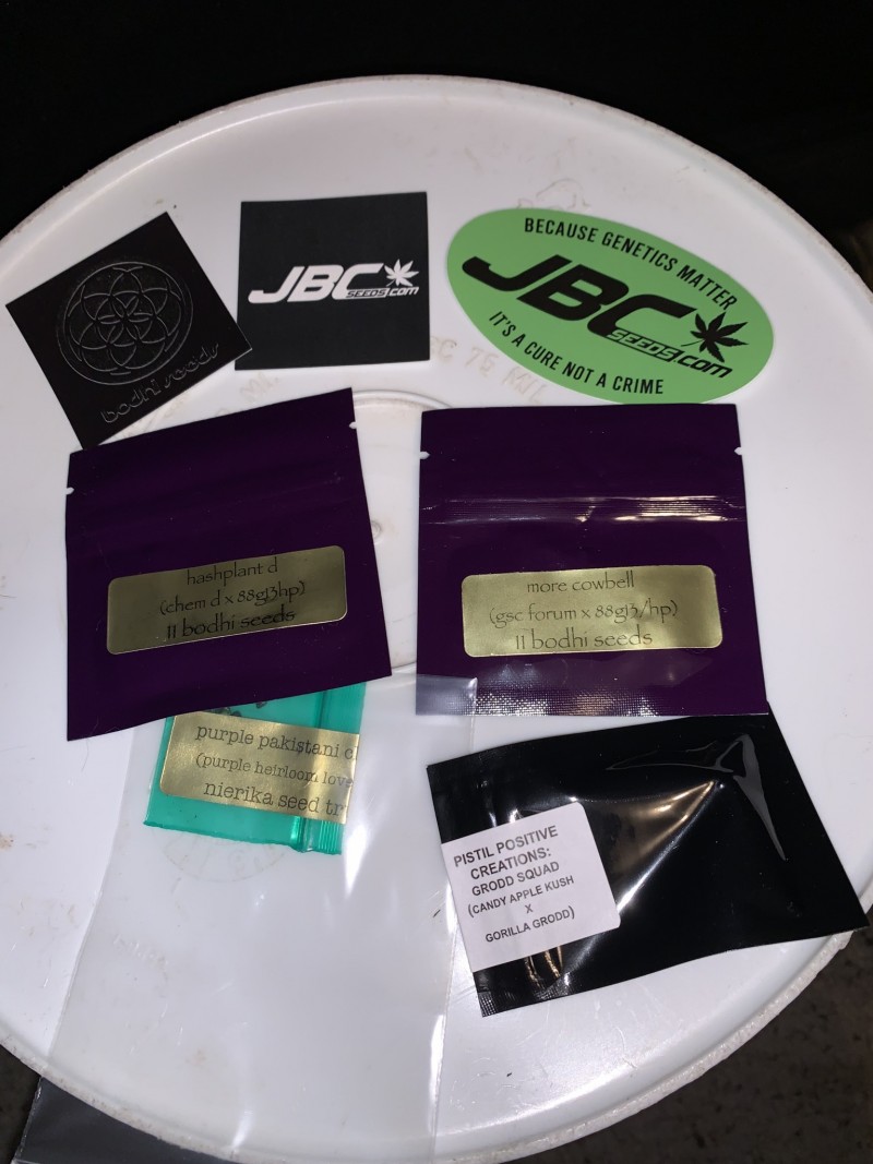 2B9861F3-EBD9-4E4D-A2E5-12475CAB5D8B