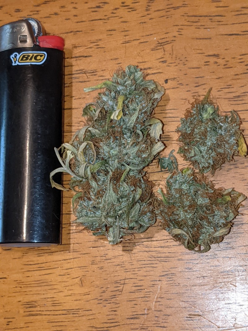 PXL_20220226_194824955