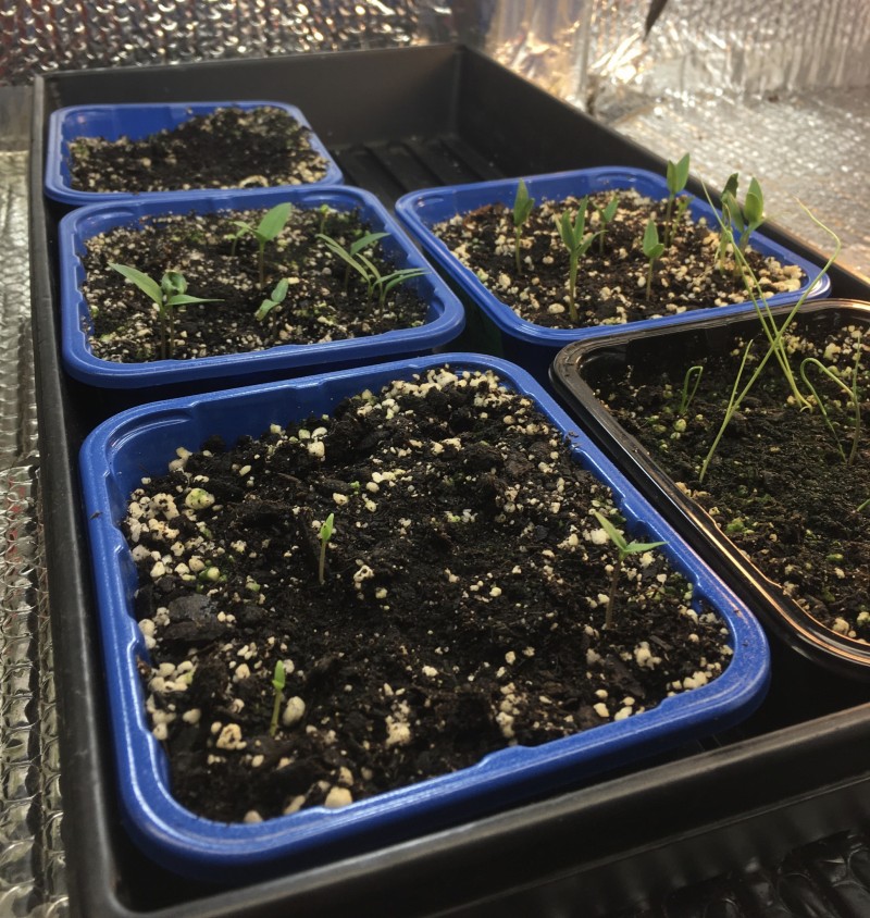 5623A217-554A-477E-98F8-50F8DF5BDB6E