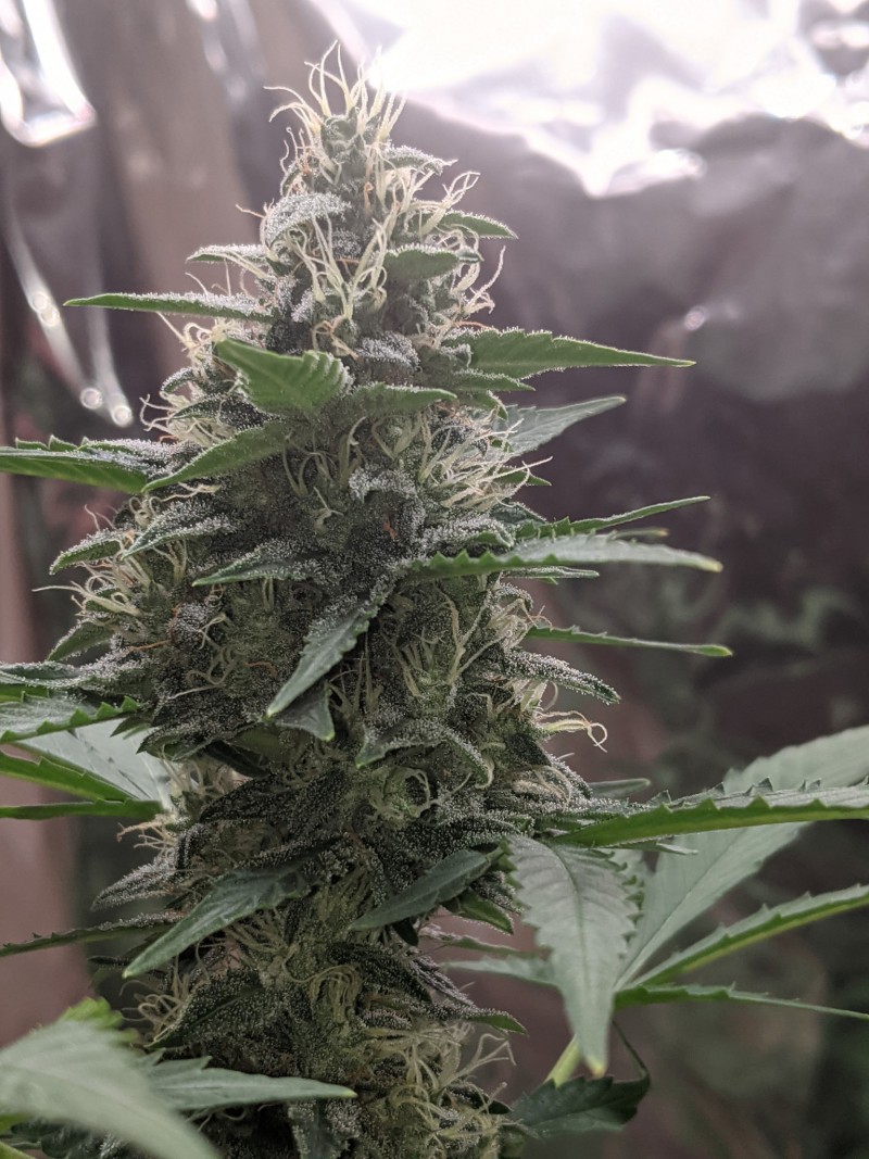 PXL_20220227_161117649