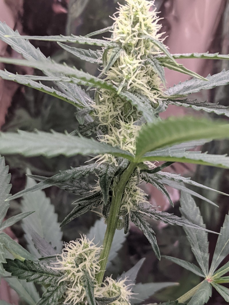 PXL_20220227_161237004