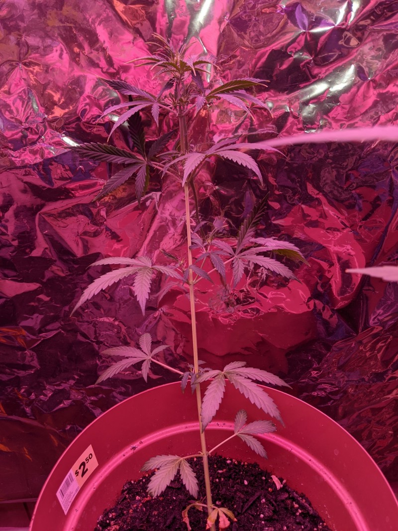 PXL_20220308_015704340