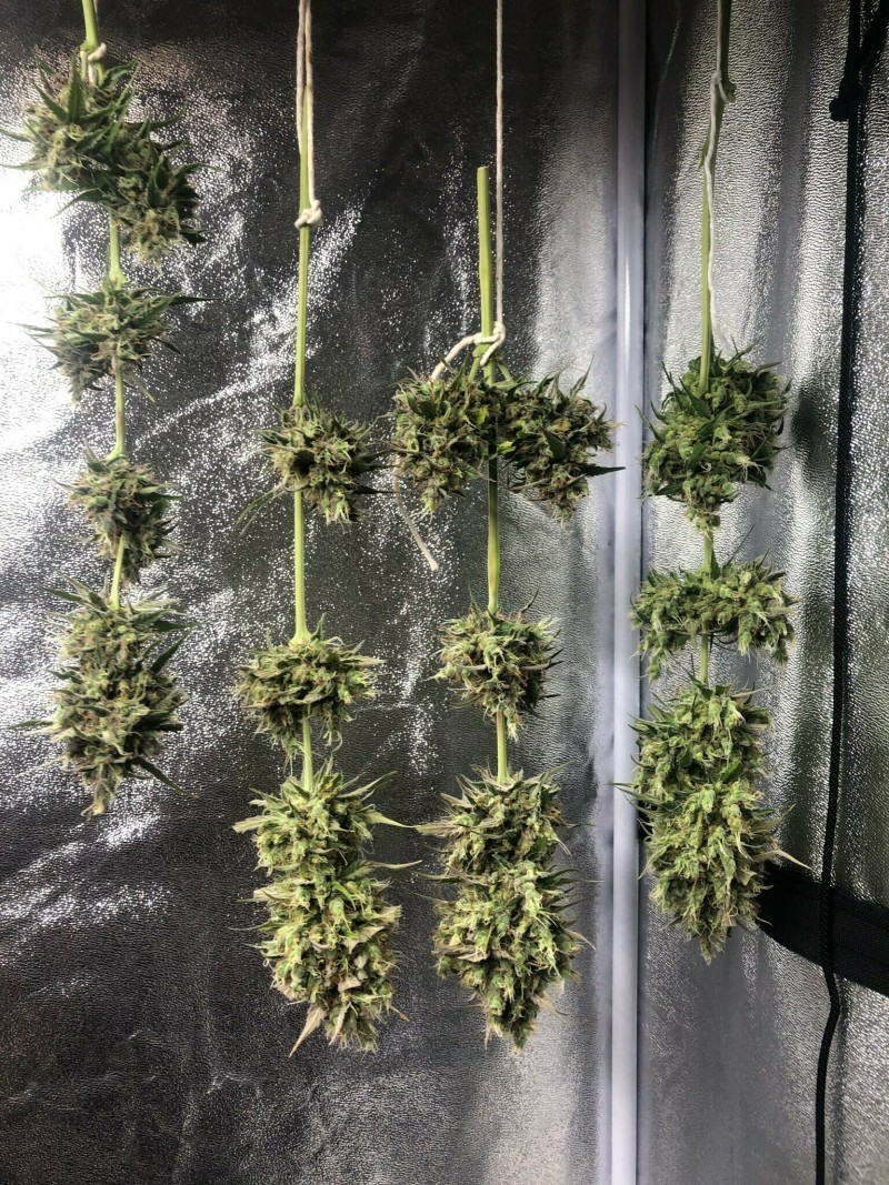 9BE37AE0-7D24-4F4E-BA98-9398869AFF4C