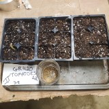 16467855799171343520428538386094