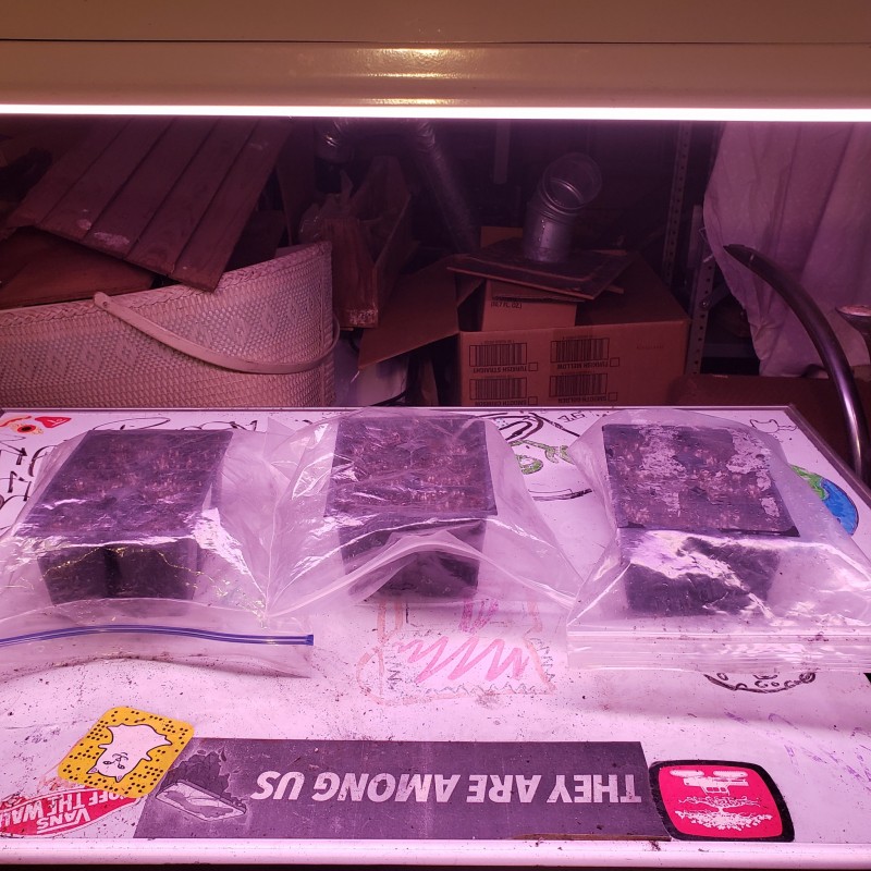 16467878228661066763688750788502