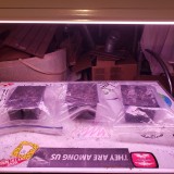 16467878228661066763688750788502