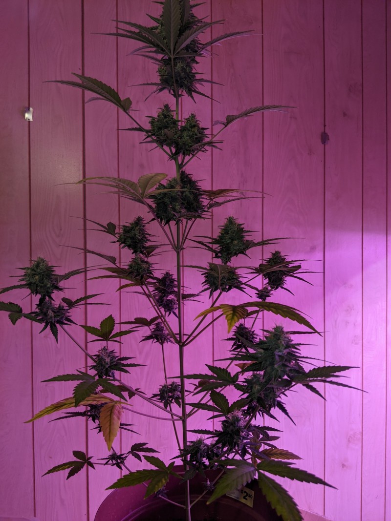 PXL_20220306_192822509