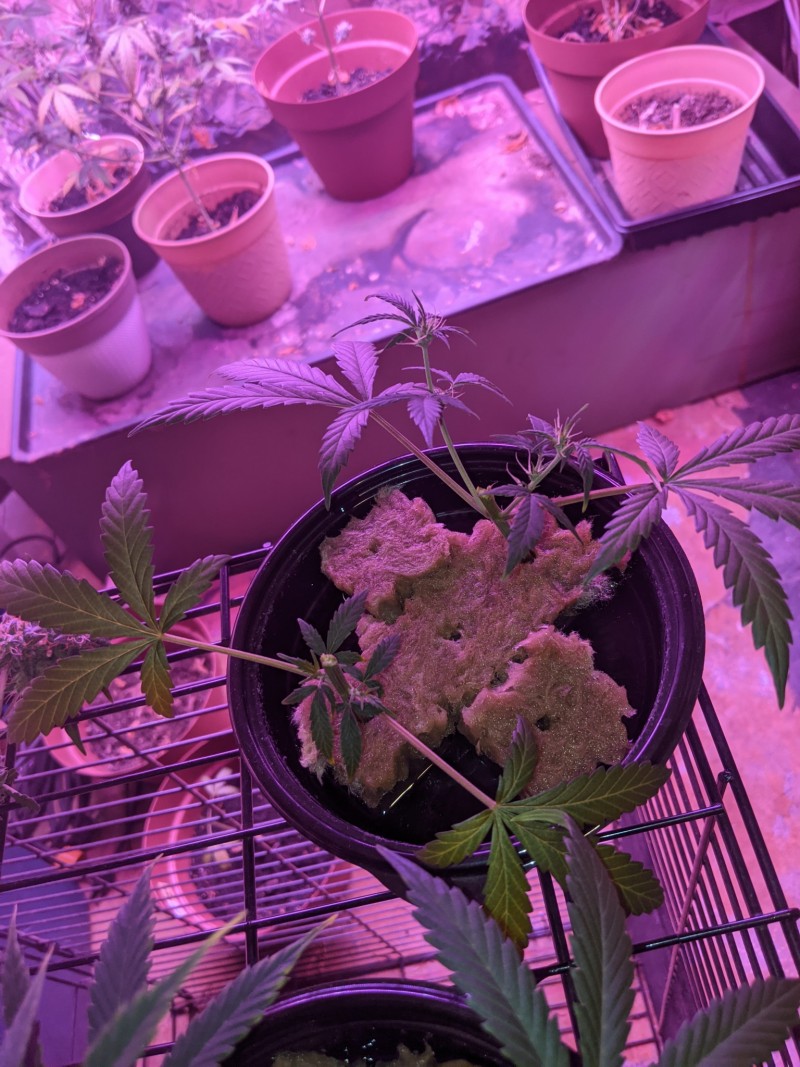 PXL_20220311_163049607