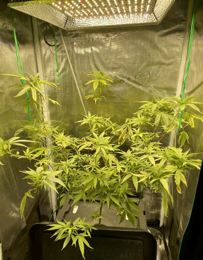 E8047E6E-70CE-447D-B96A-6F20870587A7