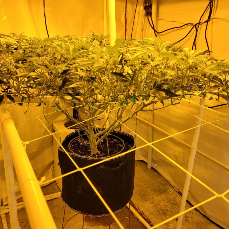 IMG_20220301_110442_595