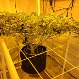 IMG_20220301_110442_595