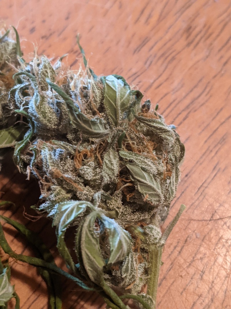 PXL_20220310_185152255