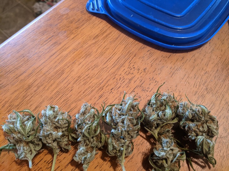 PXL_20220310_185211971