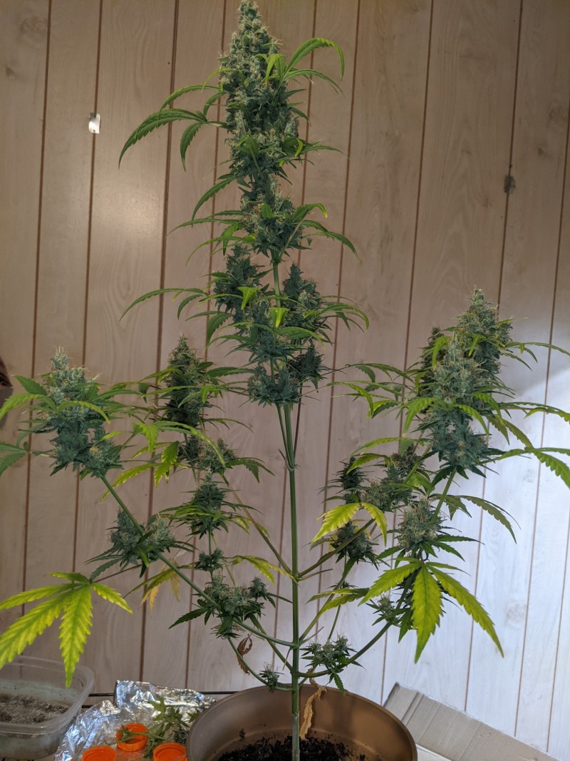 PXL_20220314_170050283