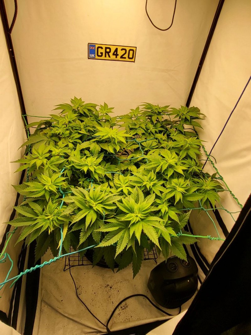 IMG_20220315_182249_642