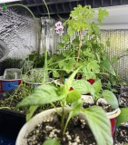 84431B26-174A-4188-9BC8-71B4DCB83160