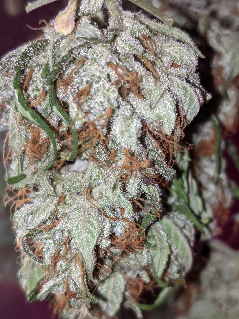 PXL_20220318_062328245