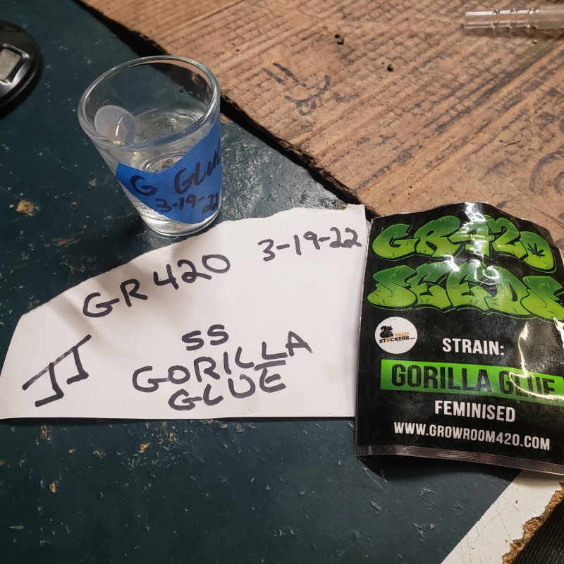 1647720871828874809989959017282