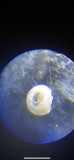 IMG-20220320-WA0000