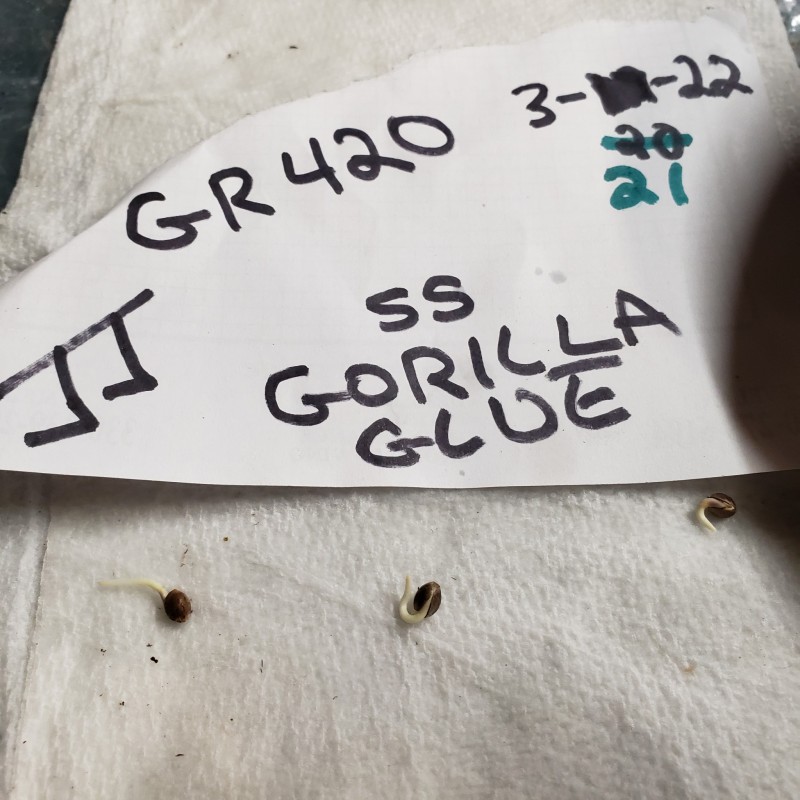 16478814762864005966319898329250