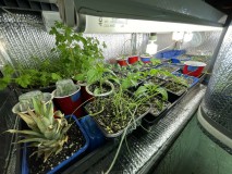 47DD32CA-2261-4107-9674-DDCB7FD32E8F