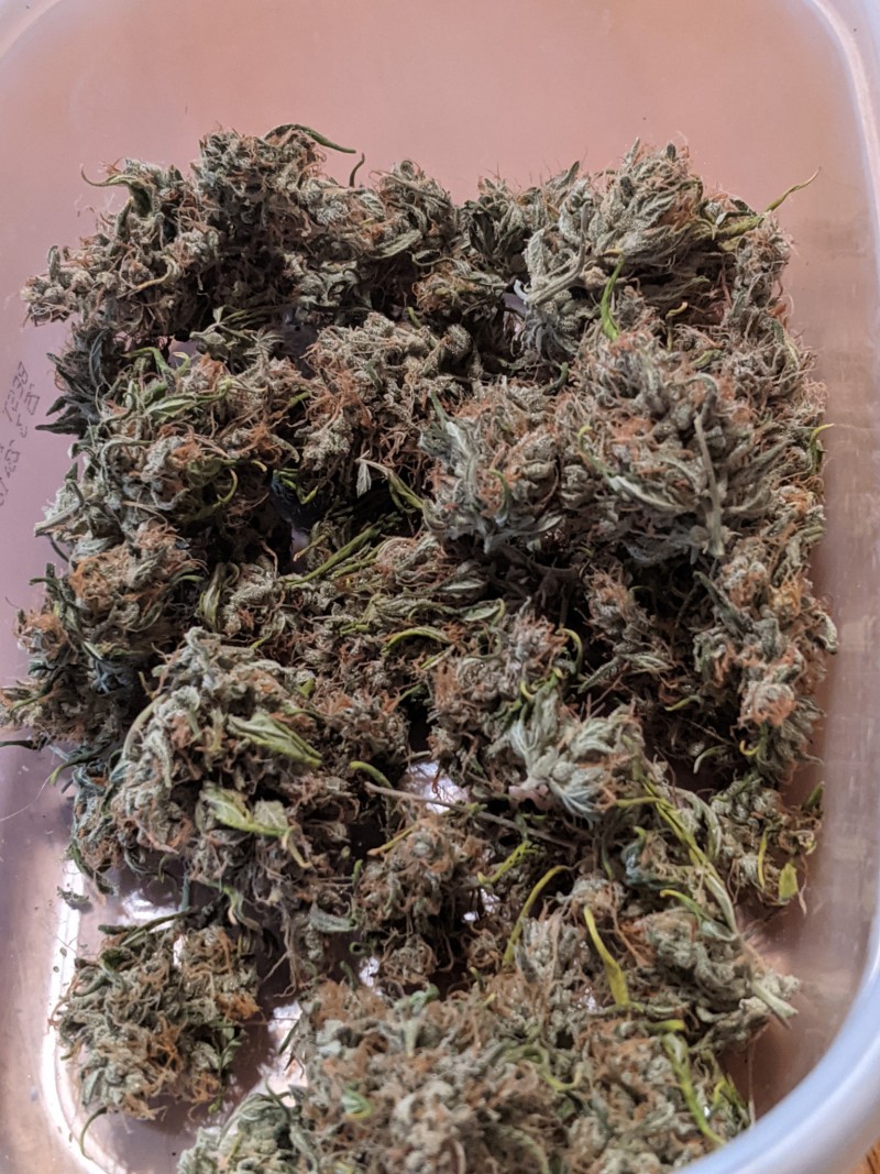 PXL_20220323_193714755