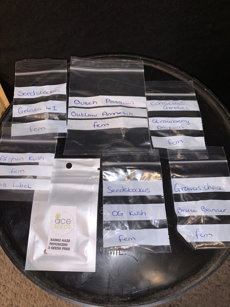 067A8048-9621-42F6-B686-0A11581C3FF4