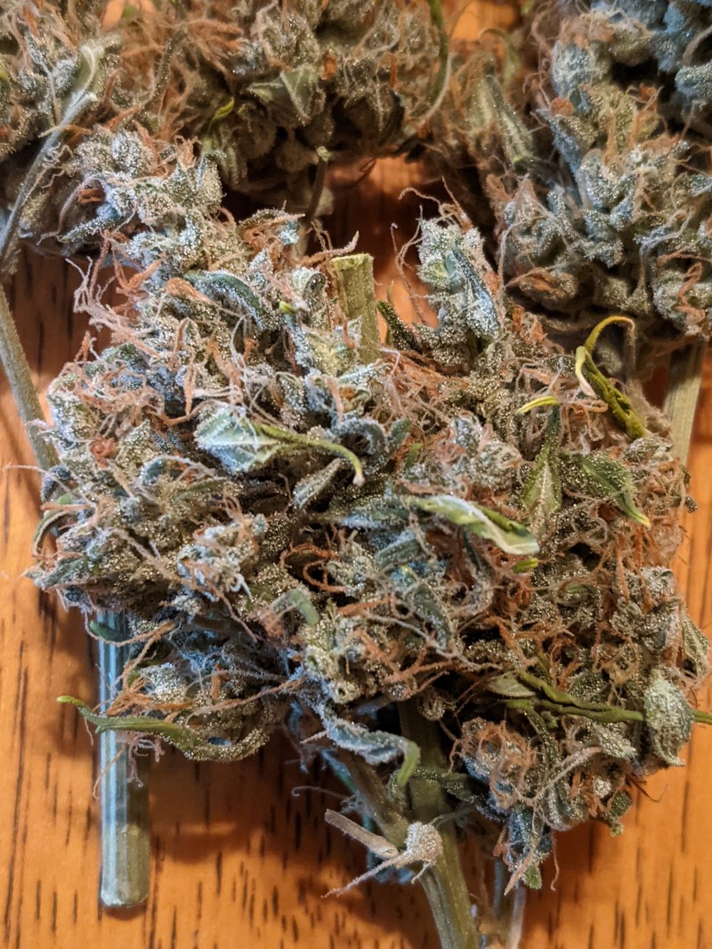 PXL_20220326_202915858