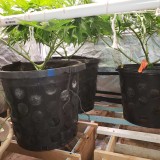 16484981415965090158376029005749