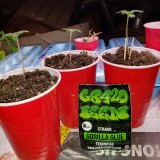 16485088111373661948752104040388