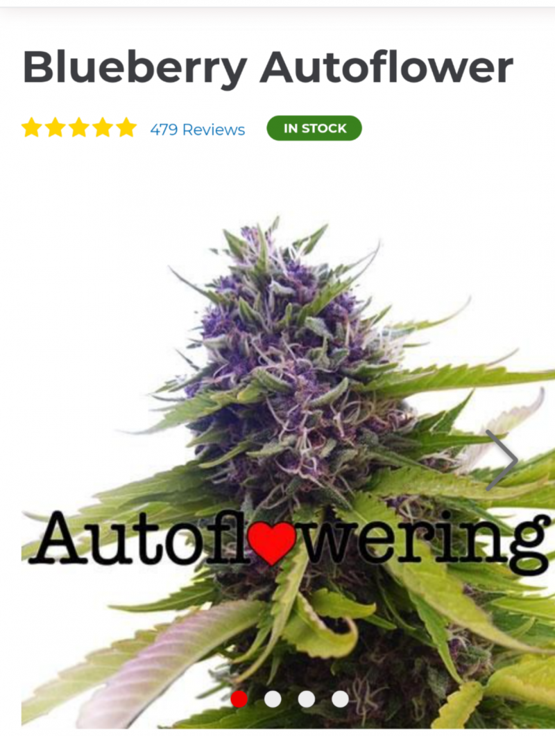 Screenshot_20220329-115914