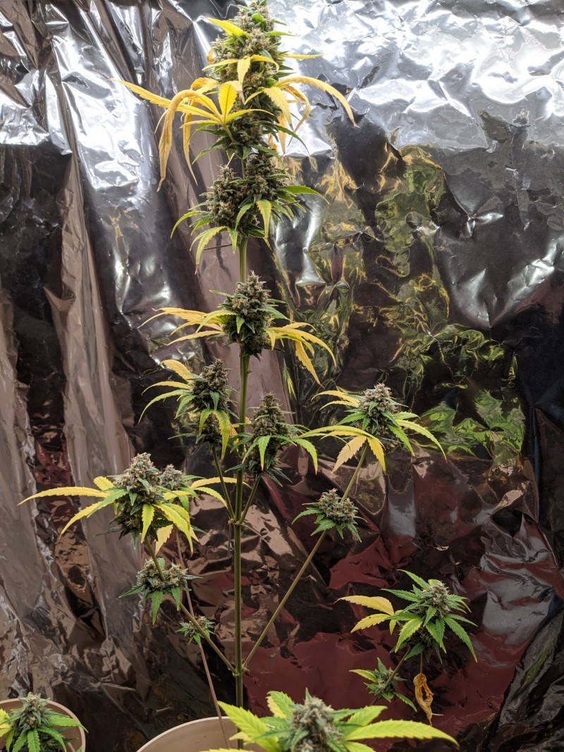 PXL_20220330_221456991