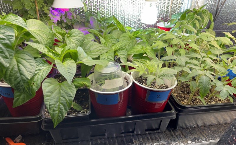 E269F7AF-6B40-4BF2-B5F8-98ABD8B51A29