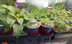 E269F7AF-6B40-4BF2-B5F8-98ABD8B51A29