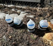 8241F9CA-3FE3-4657-A704-9DC3CF4391F6