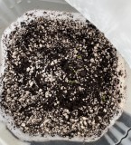 1B5383AD-DEEF-403A-B7AB-37819E7428FA