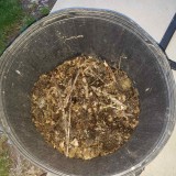 16492028110389175566815795492592