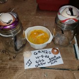 16492074986763807722214731960597