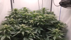 IMG_20220406_182128_828