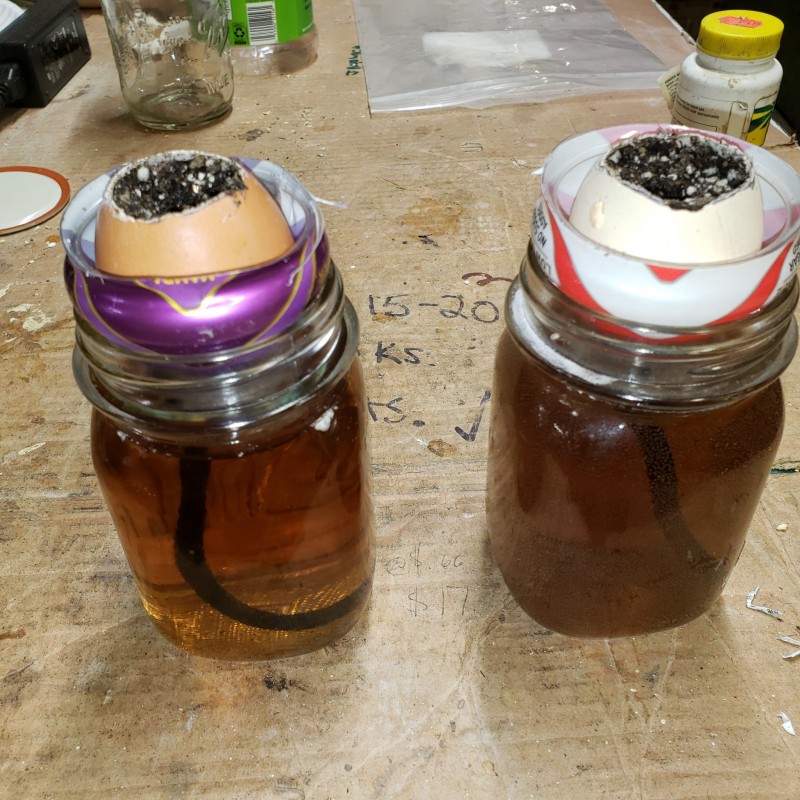 16492711755744863511234550647869