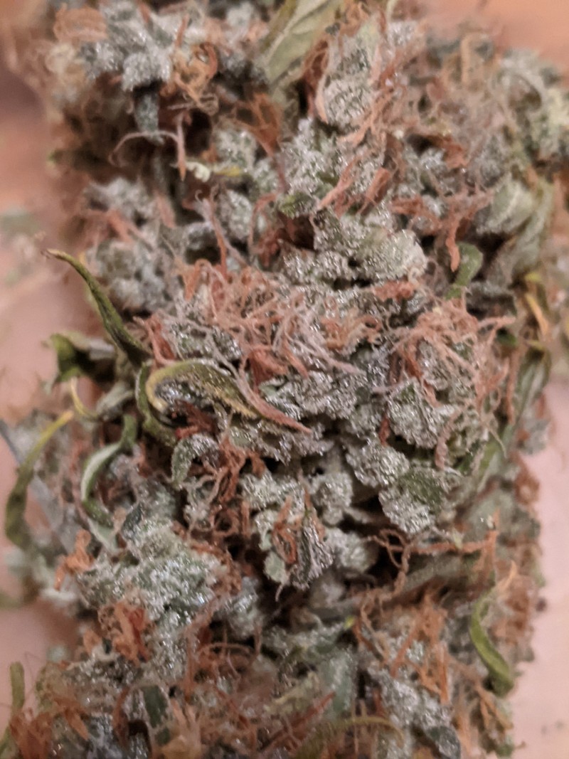 PXL_20220409_050713950