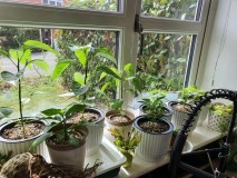 16496786986041987718450346903043