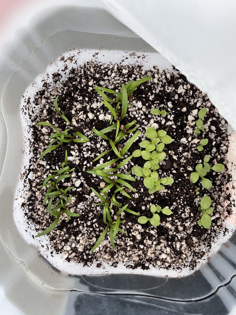 4CD31D78-5477-4FA0-BA1A-5D7EB3E85085