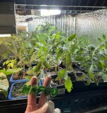 DE3A7ED1-F1A8-48E7-B6F8-9870AD8BAC77