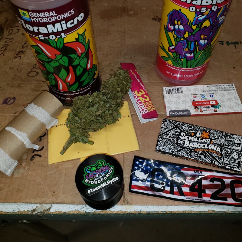 16502927830022467251577619211024