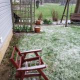 16502974115652410909579235095378