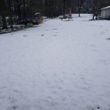 16503790068079037367365272646752